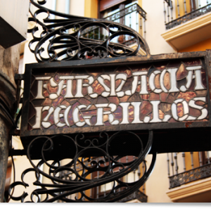 Paseando por Pamplona
